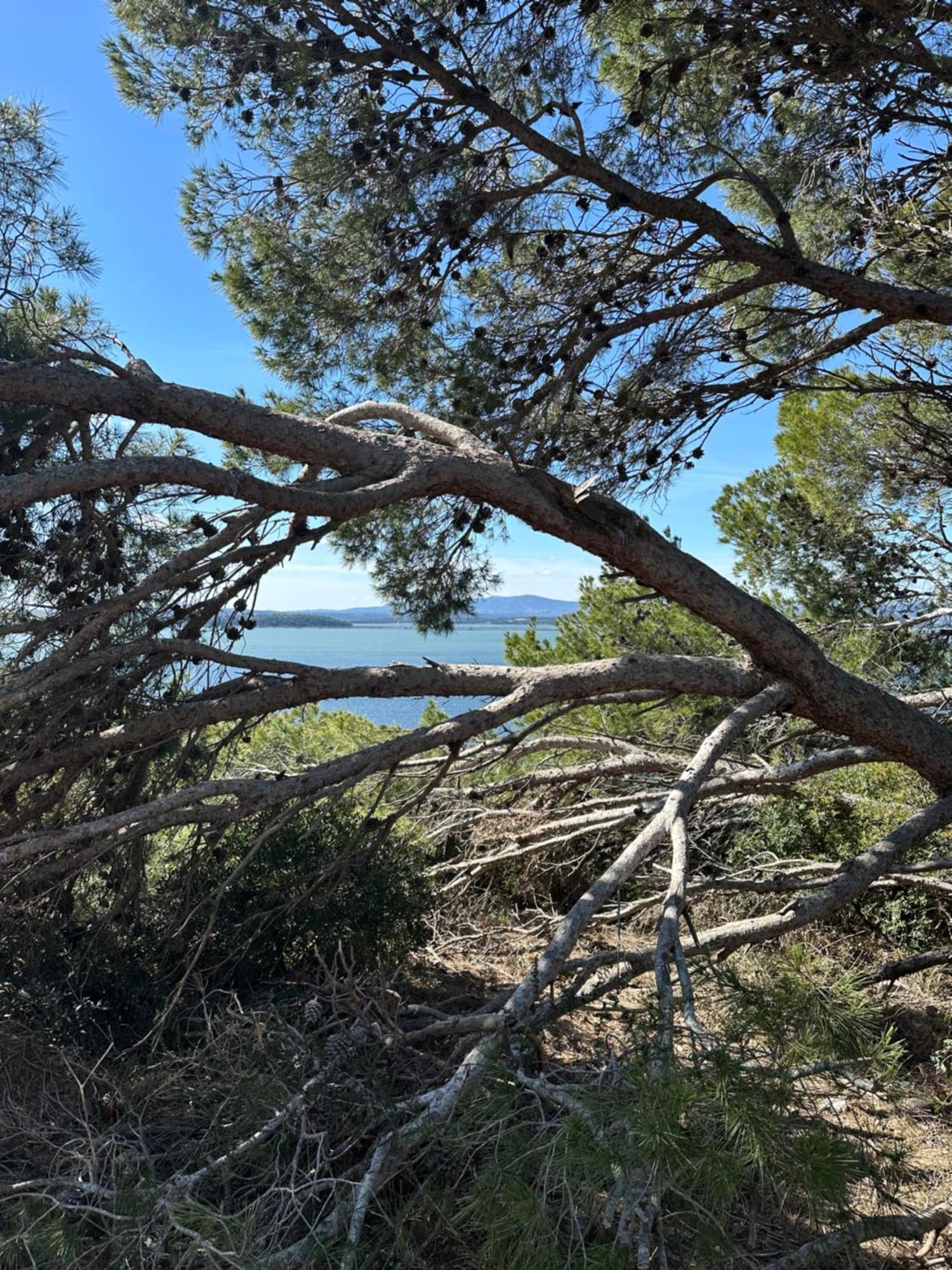 Maison Tout Confort, Bord De Mer Avec Parking Prive Gruissan Dış mekan fotoğraf